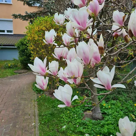 Apartament Przy Parku W Orlowie Apartment